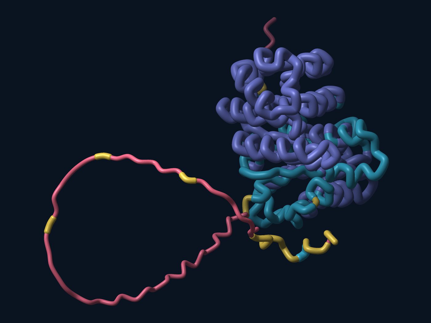 AlphaFold's predicted structure of the bacterial cell-division protein FtsZ: a compact folded domain in violet and cyan, predicted with high confidence, and a long tail looping away in pink, predicted with very low confidence.